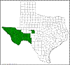 Fouquieria splendens.png