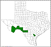 Opuntia atrispina.png