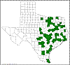 Opuntia cespitosa.png