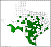 Opuntia lindheimeri.png