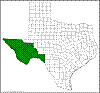 Opuntia macrocentra.png