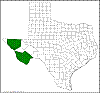Opuntia microdasys.png
