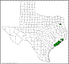 Opuntia nemoralis.png