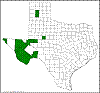 Opuntia pottsii.png