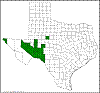 Opuntia strigil.png