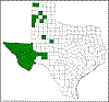 Opuntia tortispina.png