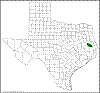 Quercus boyntonii.png