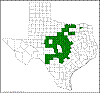 Quercus buckleyi.png