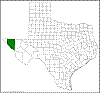 Quercus chihuahuensis.png