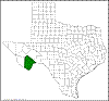 Quercus graciliformis.png