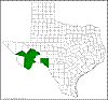 Quercus gravesii.png