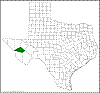 Quercus hypoleucoides.png