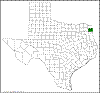 Quercus imbricaria.png