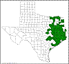 Quercus nigra.png