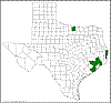 Quercus texana.png