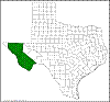 Yucca faxoniana.png