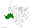 Yucca thompsoniana.png